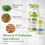 Sea Moss & ACV Gummies for Weight Loss