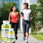 Sea Moss & ACV Gummies for Weight Loss