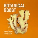 Citrus Energy Chews with Ginger - 24 Pack