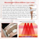 Elitzia Lipo Laser Body Shaper with 10 Pads
