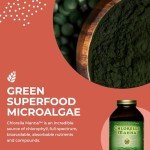 Healthforce Chlorella Manna Powder – 300g