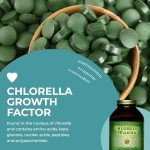 Healthforce Chlorella Manna Powder – 300g