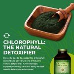 Healthforce Chlorella Manna Powder – 300g