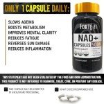 NAD+ Supplements for Metabolism and Cellular Repair
