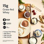 Blueberries & Cream Protein Puff Bars - 12-Pack
