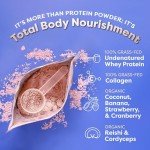 FlavCity Berries & Cream Protein Smoothie Mix