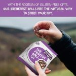 Blueberry Oat Muffin Protein Balls – 10 Pack