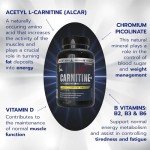 High Strength L-Carnitine 2000mg Vegan Capsules