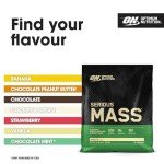 Optimum Nutrition Serious Mass Protein Powder Vanilla 5.45KG