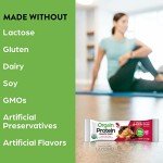 Orgain Pea Butter Chocolate Plant Protein Bars 12-Pack
