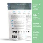 Sprout Living Epic Plant-Based Protein Powder 24g