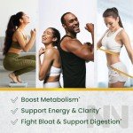 Green Tea Gummies for Metabolism & Appetite Support