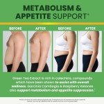Green Tea Gummies for Metabolism & Appetite Support