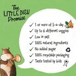 Protein-Packed Mild Chicken Korma for Kids