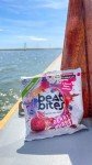 Cocoa Cranberry Energy Bites - Vegan Snack Pack