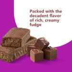 thinkThin Chocolate Fudge High Protein Bars - 10 Pack