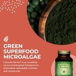 Healthforce Chlorella Manna Powder - 100g