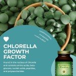 Healthforce Chlorella Manna Powder - 100g