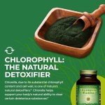 Healthforce Chlorella Manna Powder - 100g