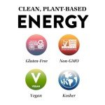 Vegan Protein Snack Bars - 12 Count Pack