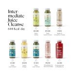 2-Day Juice Cleanse for Weight Control & Diet