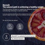 Night FatBurn Extreme - Slim Fast While You Sleep