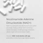 Charava NAD+ 500mg – 30 Capsules for Wellness