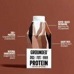 Grounded Vegan Chocolate Protein Shakes - 12 Pack