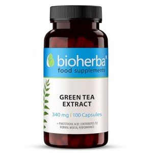 Green Tea Extract 340 mg - 300 Capsules for Wellness