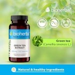 Green Tea Extract 340 mg - 300 Capsules for Wellness