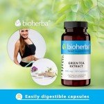 Green Tea Extract 340 mg - 300 Capsules for Wellness