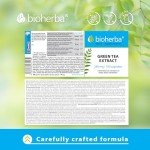 Green Tea Extract 340 mg - 300 Capsules for Wellness