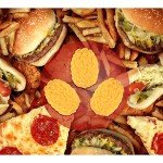 5 lb Human Body Fat Model for Fitness Motivation