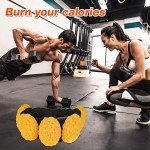 5 lb Human Body Fat Model for Fitness Motivation