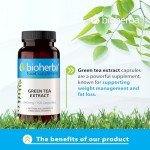 Green Tea Extract 340 mg - Metabolism Booster Capsules