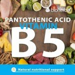 Green Tea Extract 340 mg - Metabolism Booster Capsules