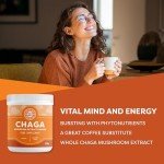 Vimergy Wild Chaga Mushroom Extract Powder - 250g