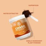 Vimergy Wild Chaga Mushroom Extract Powder - 250g