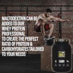 Pure Maltodextrin Carb Powder for Weight Gain