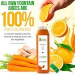 3-Day All Natural Juice Cleanse with Ginger Shots