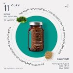 Organic Thyroid Support with Sea Kelp & Selenium
