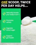Zenwise Health Natural GLP-1 Booster & Probiotics
