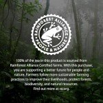 Organic Green Tea Bags with Resveratrol Boost