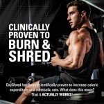 EHPlabs OxyShred Thermogenic Pre Workout Powder - Gummy Snake