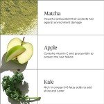 Briogeo Apple Matcha Kale Shampoo & Conditioner Set