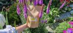 Raw EU Bee Pollen - Natural Superfood Boost