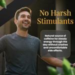 Rise & Shred - Fast-Acting Appetite Suppressants