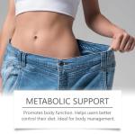 GLP-1 Weight Management Patches - Boost Metabolism