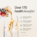 Berry Protein Meal Replacement Shake, 8 Bottles