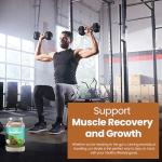 Mint Chocolate Meal Replacement Shake – 24g Protein